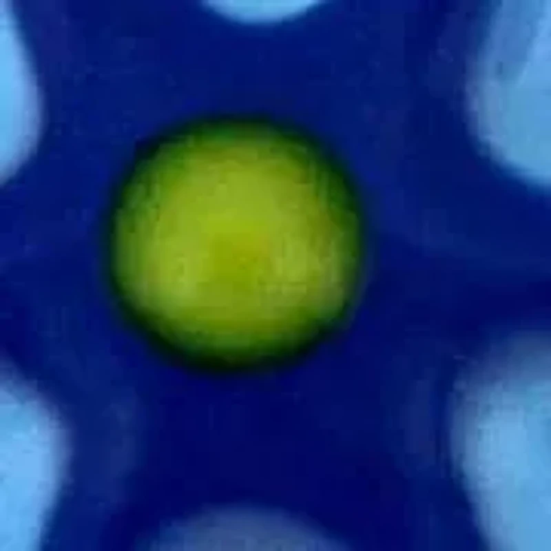 Kid's 3-Piece Set Flowers Enamel Earrings in Sterling Silver