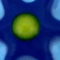 Kid's 3-Piece Set Flowers Enamel Earrings in Sterling Silver