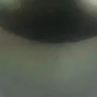 8-8.5mm Tahitian Cultured Pearl & Diamond Drop Pendant & Earrings Set in Sterling Silver - 18 in