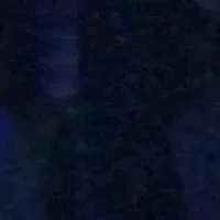 Lab Created Blue Sapphire Earrings in Sterling Silver