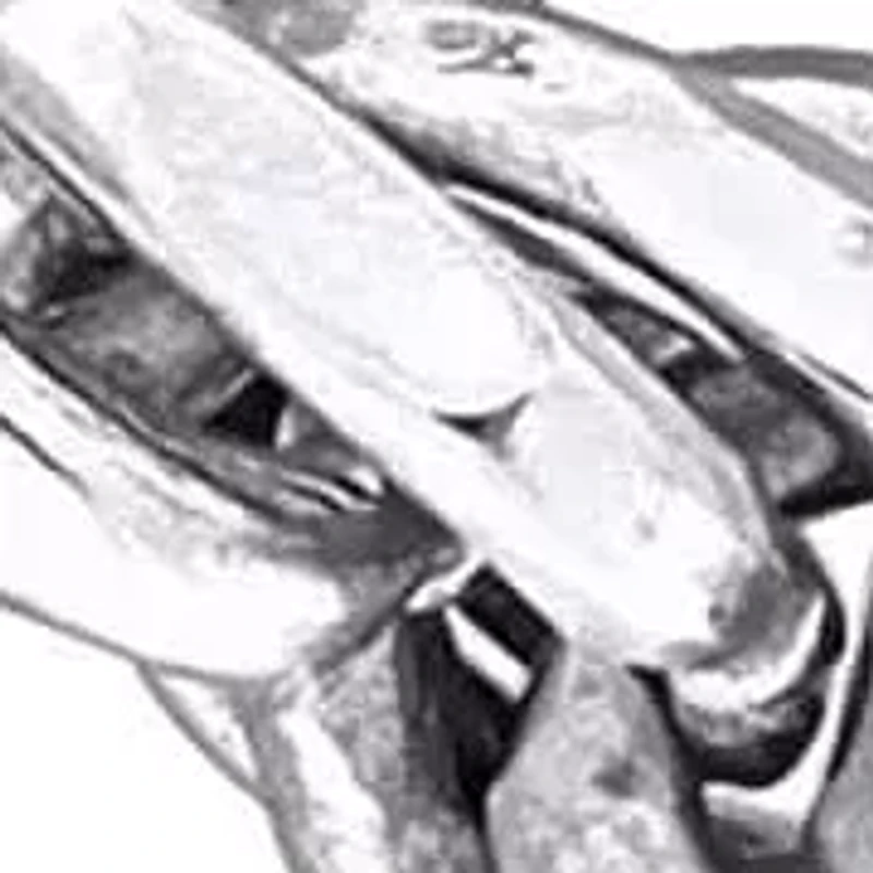 4mm Diamond Cut Rope Chain Necklace in Sterling Silver, 18"