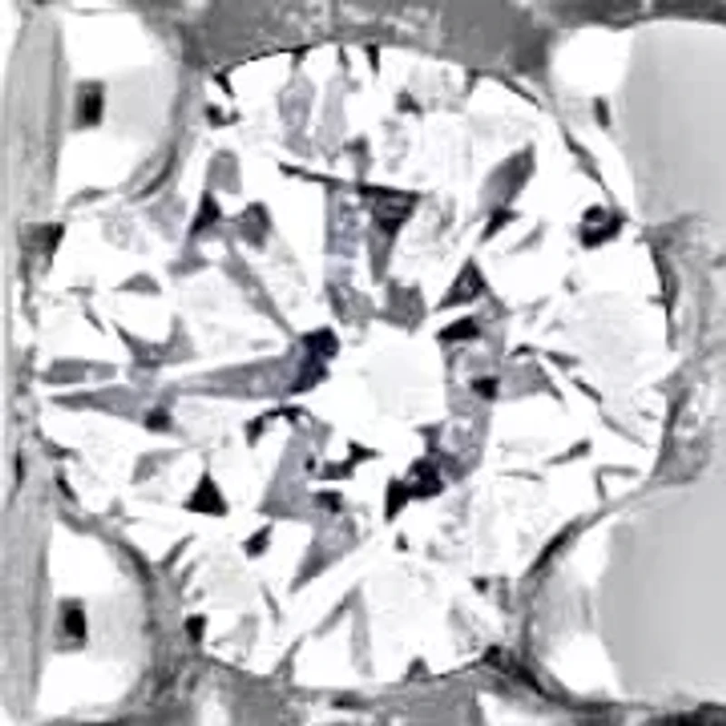 Diamond Earrings in 10k White Gold
