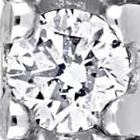 Diamond Earrings in 10k White Gold