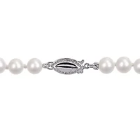 5-5.5mm Freshwater Cultured Pearl Bracelet in Sterling Silver - 7.5 in
