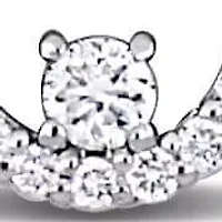 Diamond Necklace in 14k White Gold- 18+1 Ext.