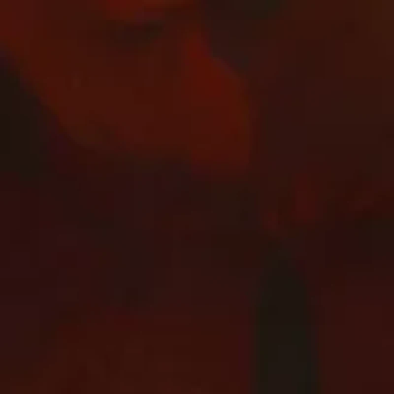  14K Yellow Gold 1/3 ct. t.w. Diamond and  5.45 ct. t.w. Garnet  Ring