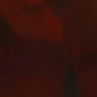  14K Yellow Gold 1/3 ct. t.w. Diamond and  5.45 ct. t.w. Garnet  Ring