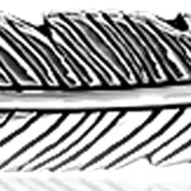 Feather Cord Bracelet in Sterling Silver