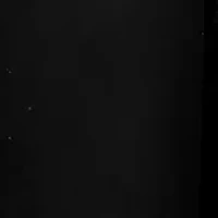 Sterling Silver Gold Plated Onyx Earrings