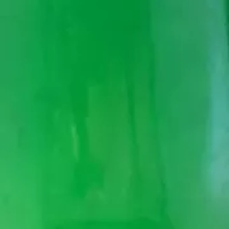 Freshwater Pearl Dyed Earrings in 14K Yellow Gold