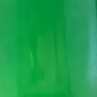 Freshwater Pearl Dyed Earrings in 14K Yellow Gold