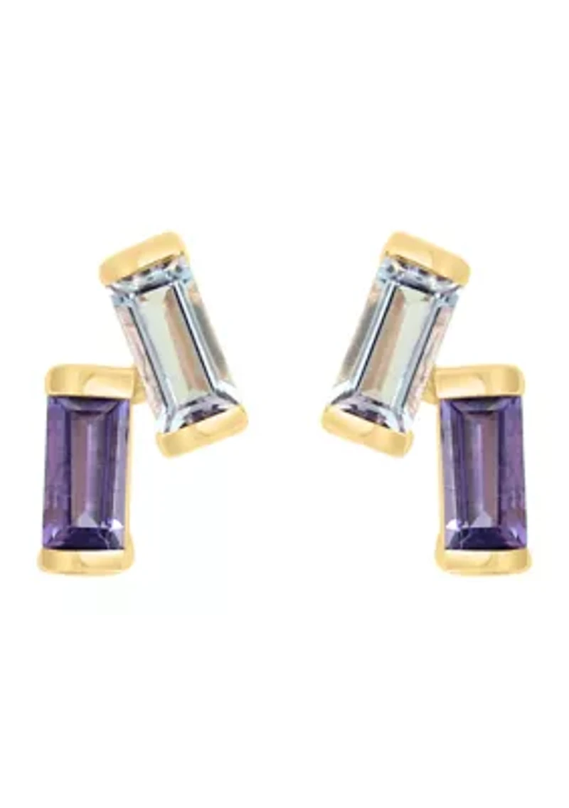 3/8 ct. t.w. Amethyst, Pink Amethyst Earrings in 14K Yellow Gold