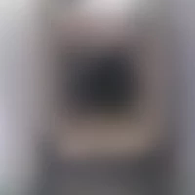 Black Tahitian Pearl Stud Earrings in 14K Yellow Gold