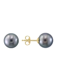 Black Tahitian Pearl Stud Earrings in 14K Yellow Gold