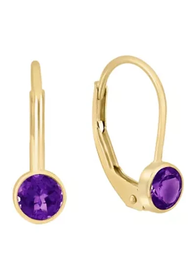 14K Yellow Gold Amethyst Earrings