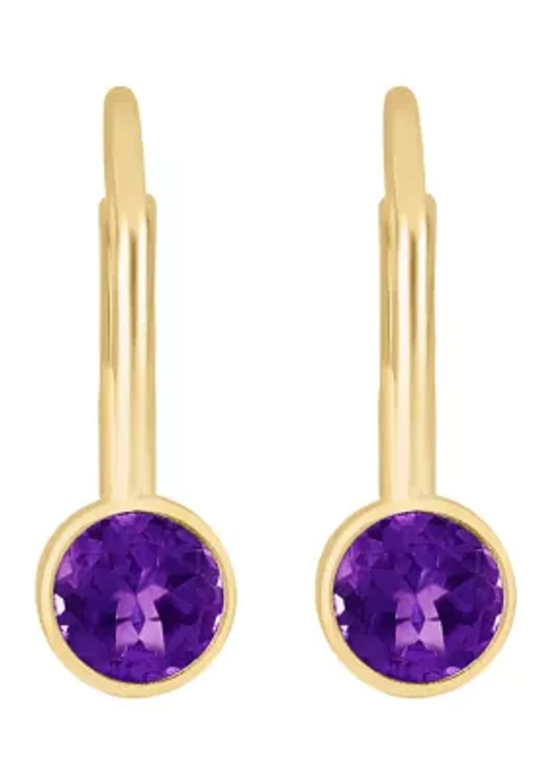 14K Yellow Gold Amethyst Earrings
