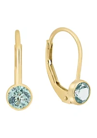 14K Yellow Gold Blue Topaz Earrings