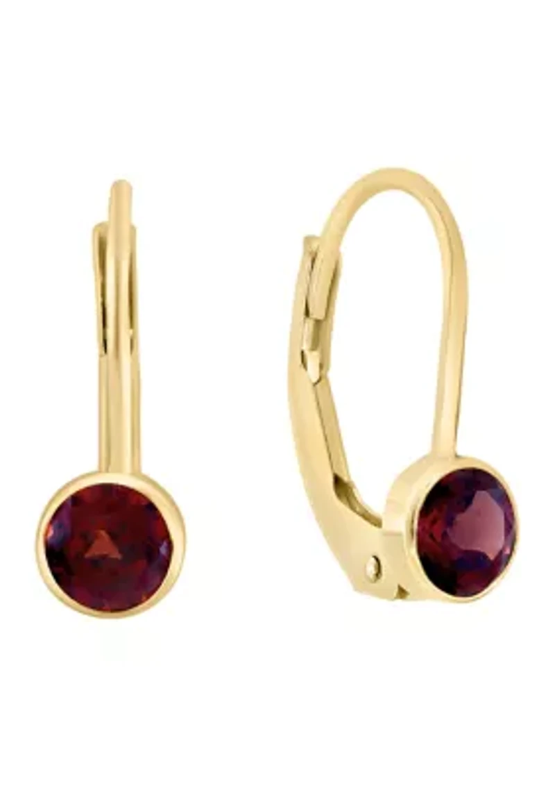 14K Yellow Gold Garnet Earrings