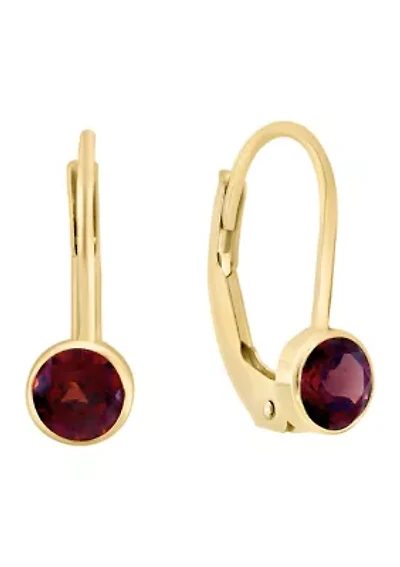 14K Yellow Gold Garnet Earrings