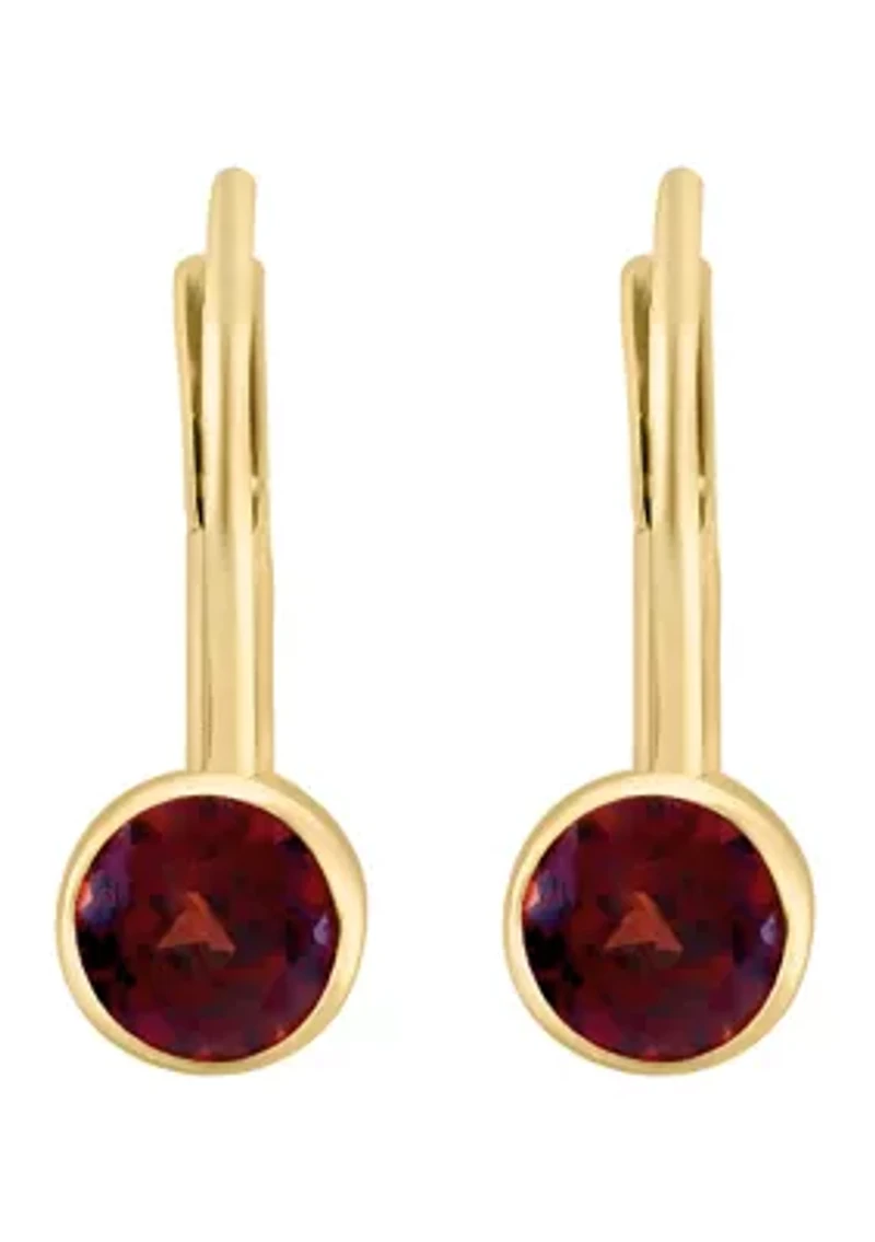 14K Yellow Gold Garnet Earrings