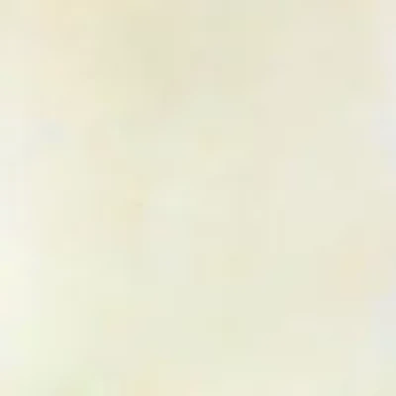 925 Gold Plated Silver Opal Oval Necklace 