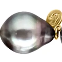 Black Tahitian Pearl Necklace in Sterling Silver