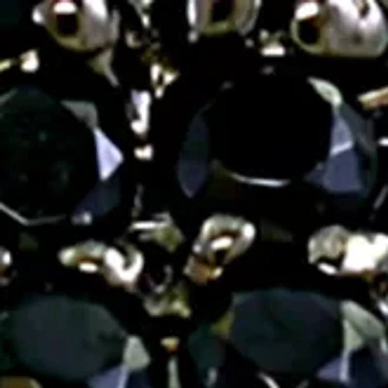 Sterling Silver Black Spinel and Green Onyx Panther Ring