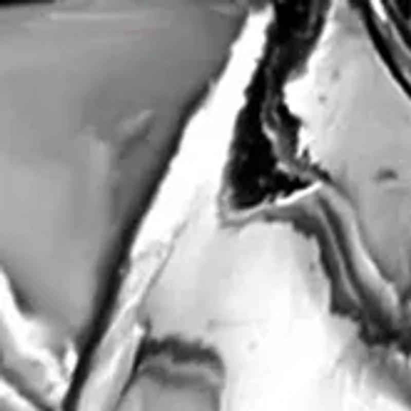 Men's Sterling Silver Tiger Ring