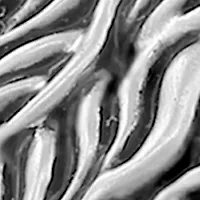 Men's Lion Ring in Gold Over Sterling Silver