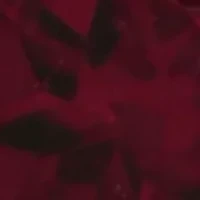 14K Rose Gold Diamond, Rhodolite Earrings