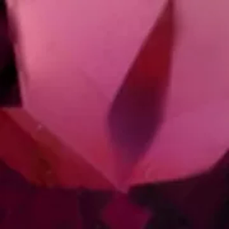 Diamond and Rhodolite Ring in 14K Rose Gold