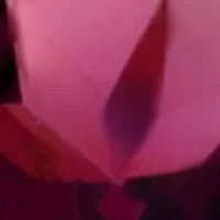 Diamond and Rhodolite Ring in 14K Rose Gold