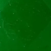 1/10 ct. t.w. Diamond, 8.8 ct. t.w. Jade Earrings in 14K Rose Gold