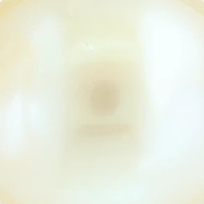 1/10 ct. t.w. Diamond and Freshwater Pearl Earrings in 14K Yellow Gold 