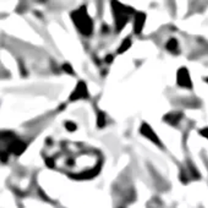  1/10 ct. t.w. Lab Grown Diamond Miracle Stud Earrings in Sterling Silver