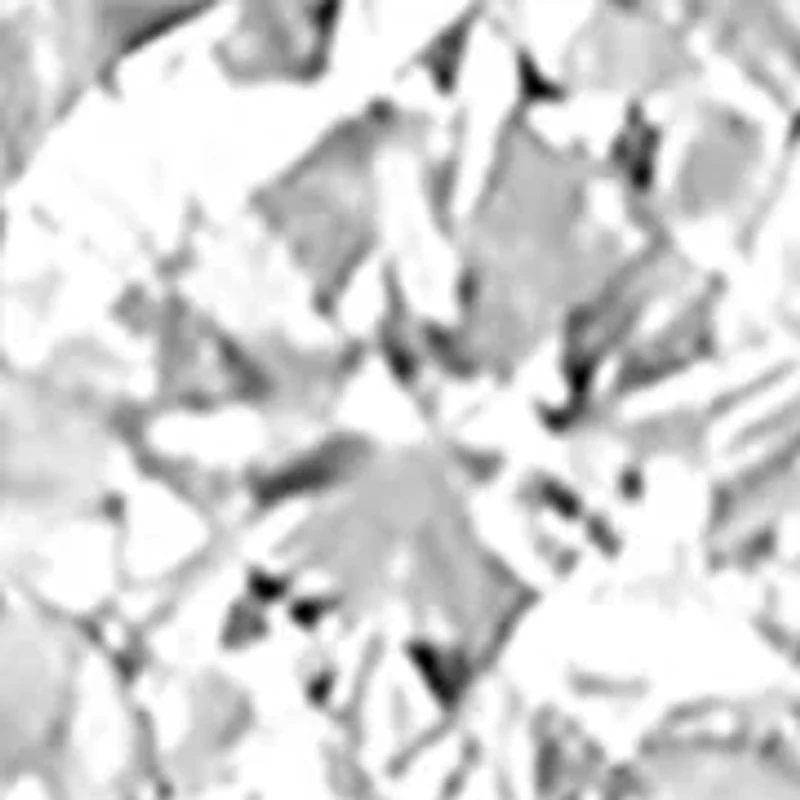 Lab Grown Diamond Hoop Earrings in Sterling Silver