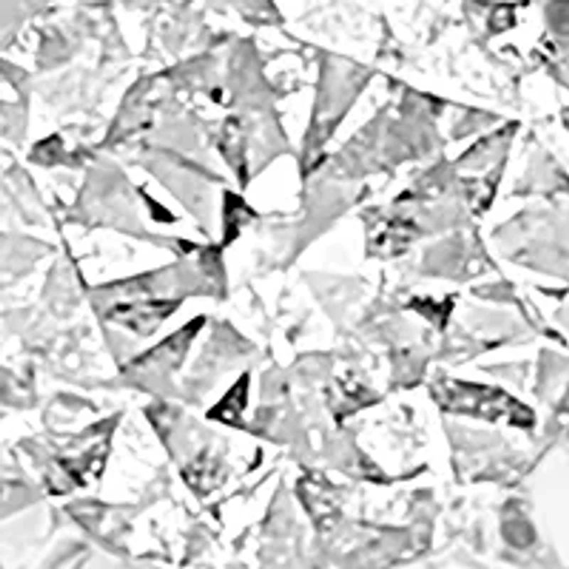 Diamond Earrings in 14K White Gold