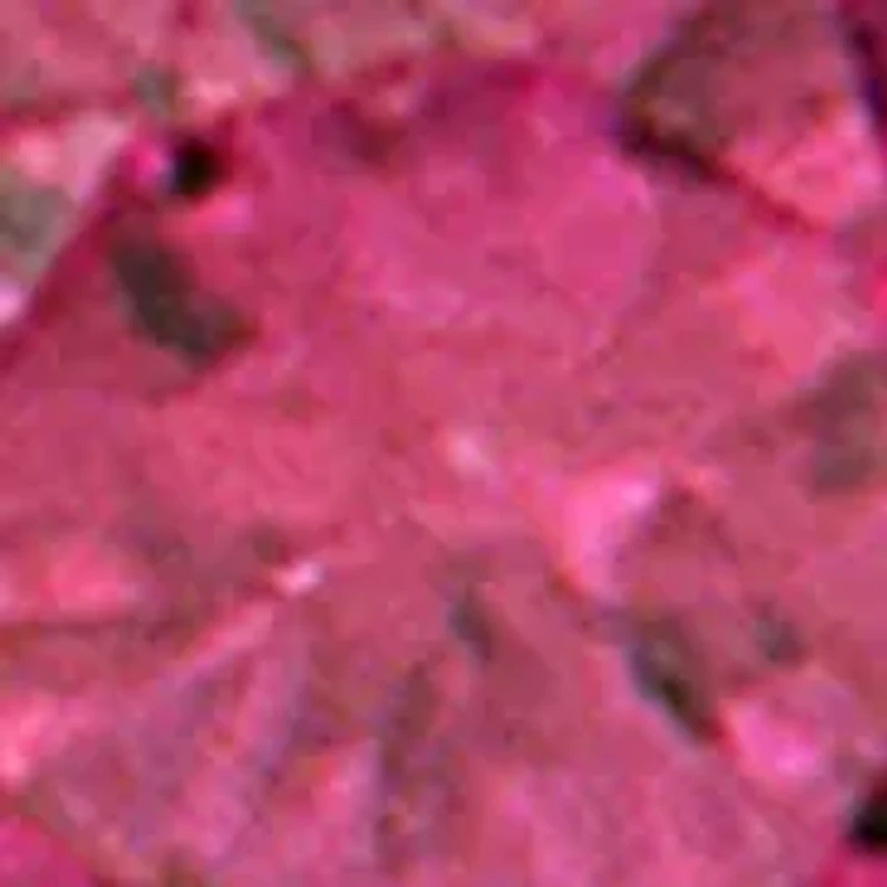 1/2 ct. t.w. Ruby Huggie Earrings in 14k Rose Gold