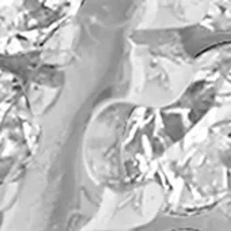 14K White Gold Diamond Earrings