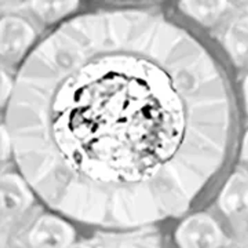 Sterling Silver Diamond Hoops