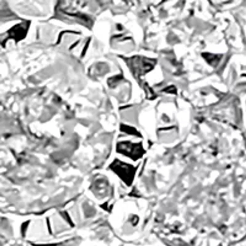 1/2 ct. t.w. Diamond Earrings in Sterling Silver