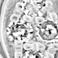 Sterling Silver Diamond Earrings 