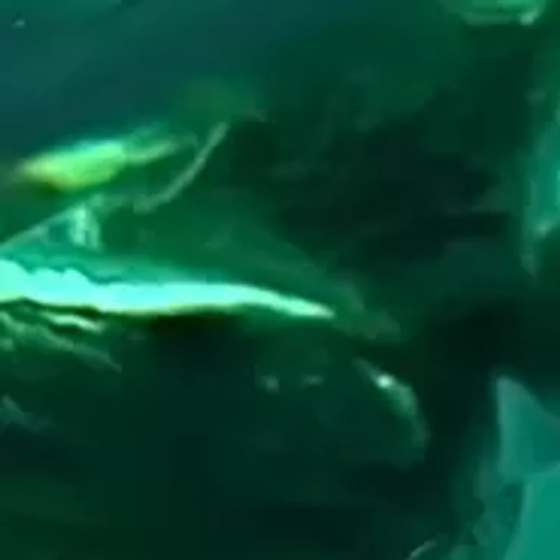 Lab Created Diamond and Emerald Ring in 14K Yellow Gold