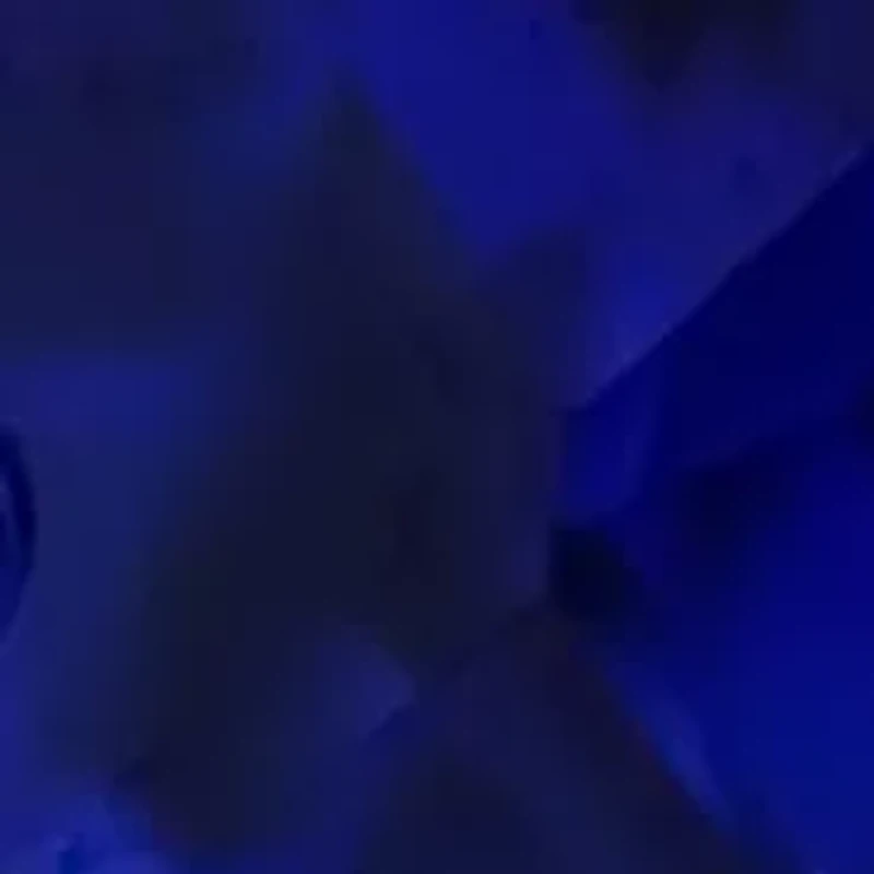 Lab Created Diamond and Sapphire Ring in 14K White Gold