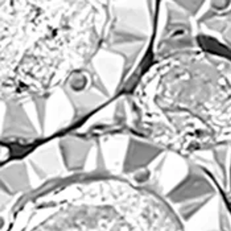 1 ct. t.w. Diamond Bridal Set in Sterling Silver