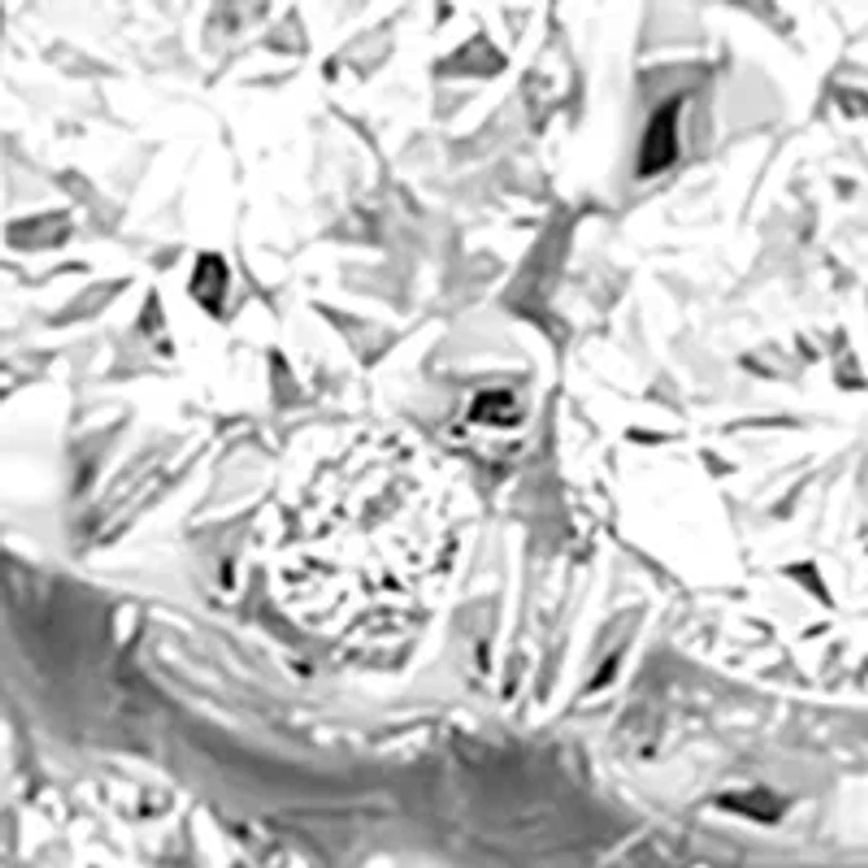 14K White Gold Diamond Ring