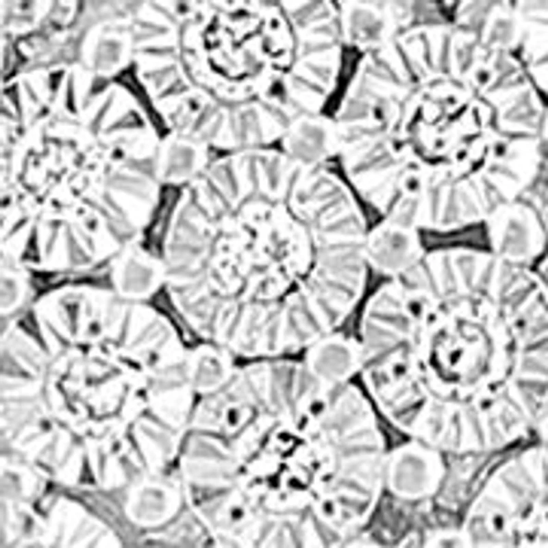 1/8 ct. t.w. Miracle Set Diamond Palm Tree Pendant Necklace in Sterling Silver