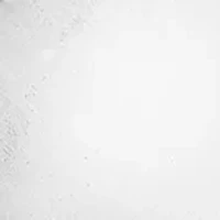 3 Millimeter Gents Band Tungsten