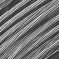 Men's Gray Steel Band Tungsten