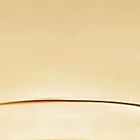 Polished Comfort Fit Band Ring 10k Yellow Gold